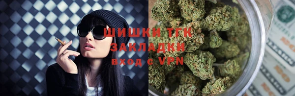 ALPHA PVP Инсар