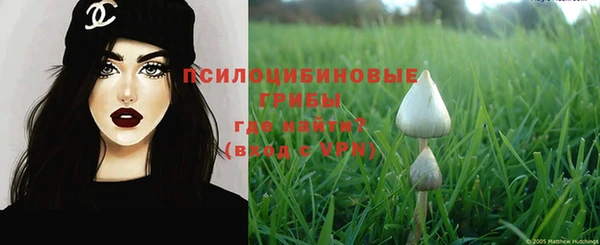 прущие крисы Иннополис