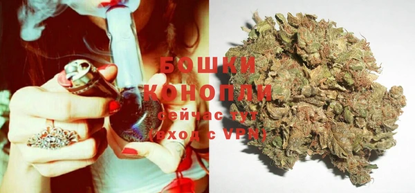 ALPHA PVP Инсар