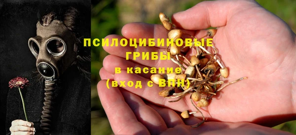 прущий лед Инта