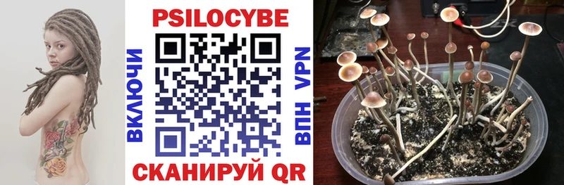Купить закладки  Зеленодольск  Псилоцибиновые грибы прущие грибы 